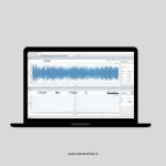 TSAP 201 -Time & FFT Spectrum Analyzer with Post Processor (Phonovibe D) - Image 2