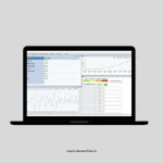 TVM 203 -Advanced Vibrationmeter (Phonovibe O) - Image 2